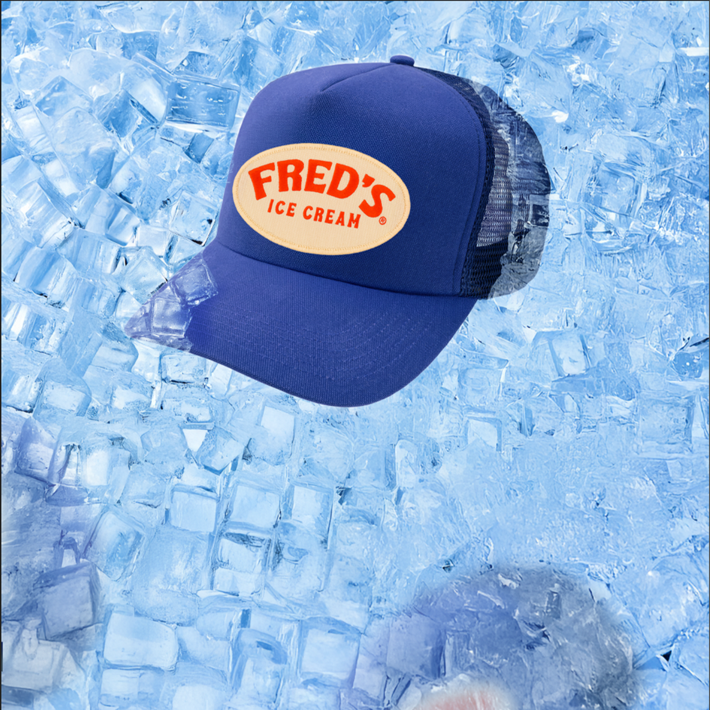 Trucker Lid - Blueberry Puree